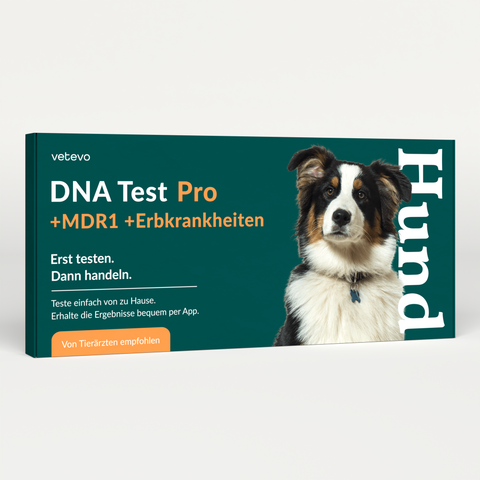 Product card image