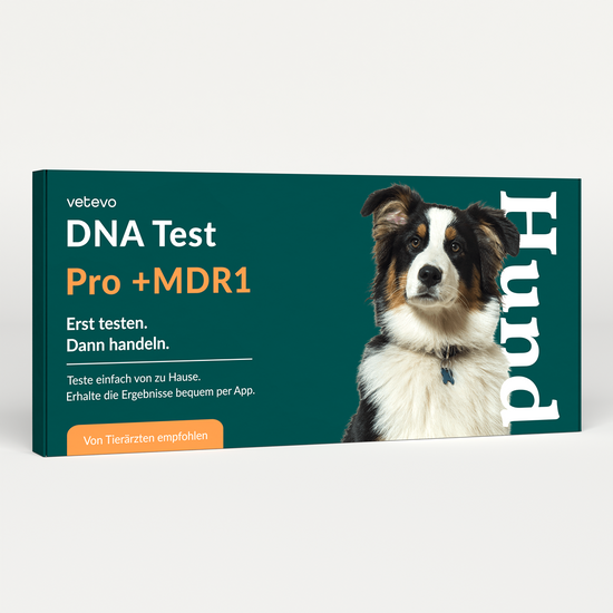 DNA Test Rassebestimmung Pro + MDR1 Hund