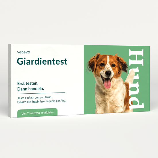 Giardientest Hund