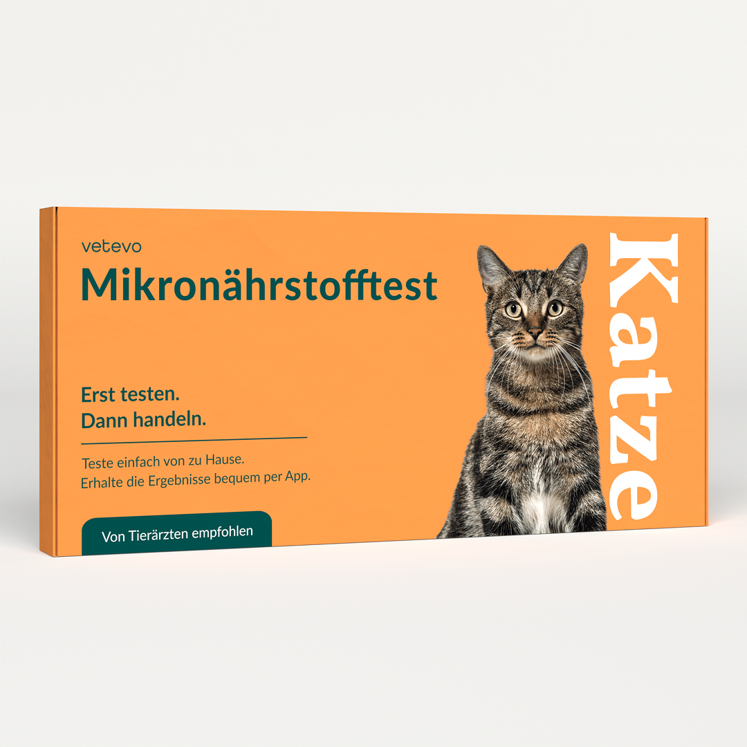 Mikronährstofftest - Mängel Katze