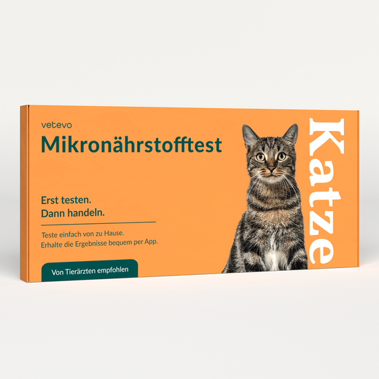 Mikronährstofftest - Mängel Katze