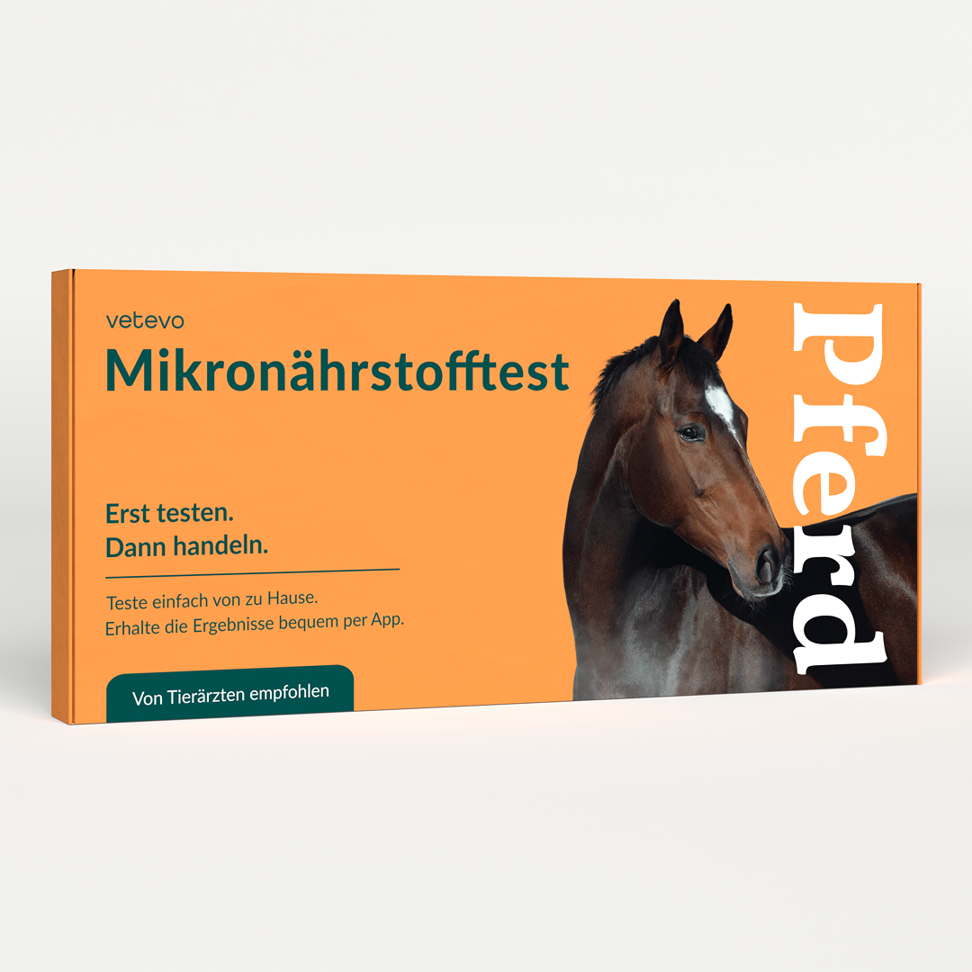 Mikronährstofftest - Mängel Pferd