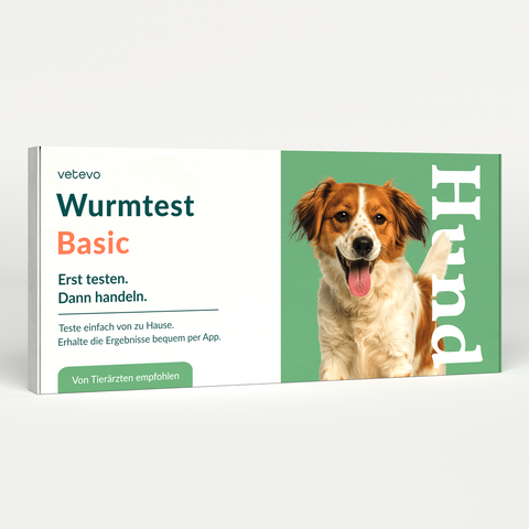 Product card image