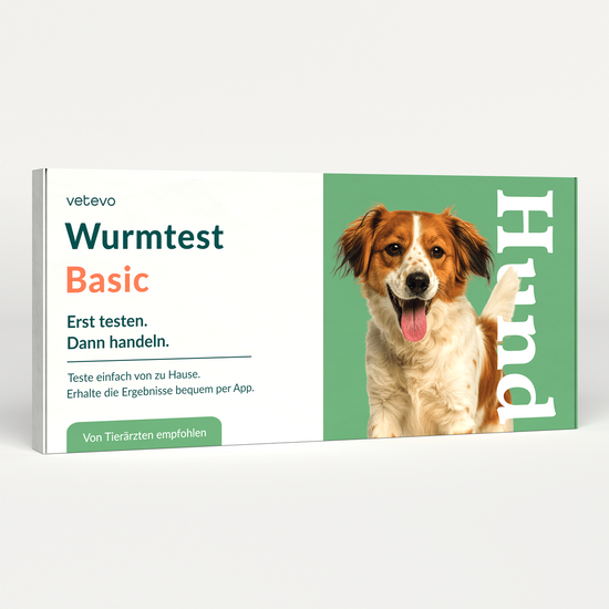 Wurmtest Basic Hund