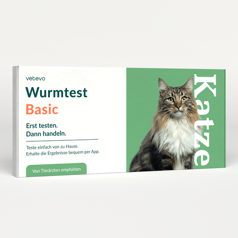 Product card image