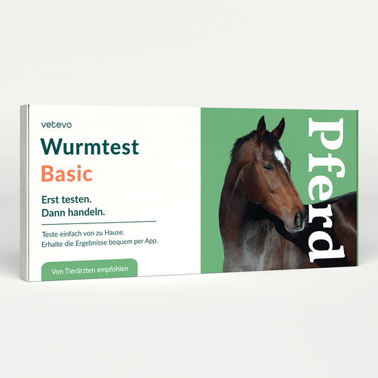 Wurmtest Basic Pferd