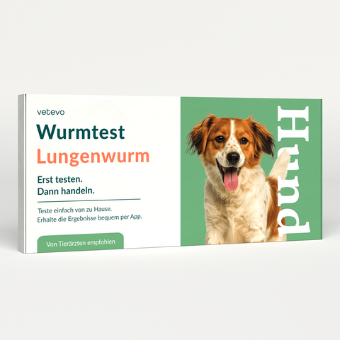 Product card image