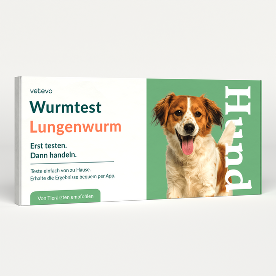 Lungenwurmtest Hund