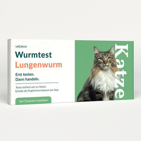 Product card image