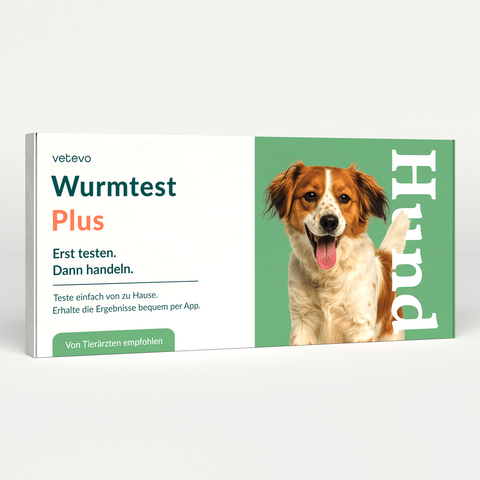 Product card image