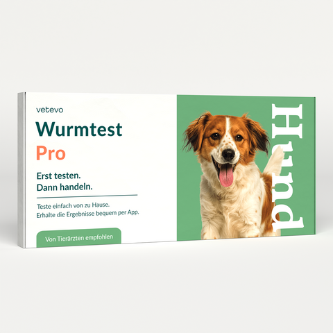 Product card image