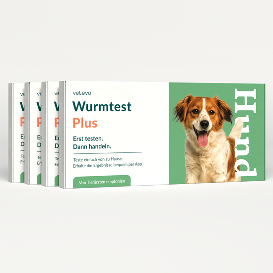 Wurmtest Plus Hund Sparpaket