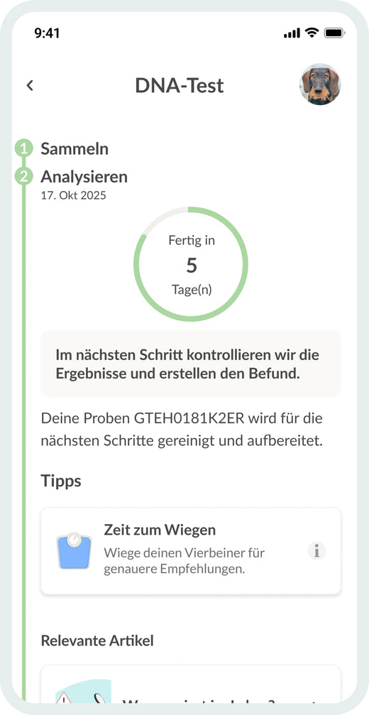 Live-Updates direkt aus dem Labor
