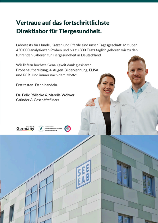 vetevo b2b Flyer (10er Pack)