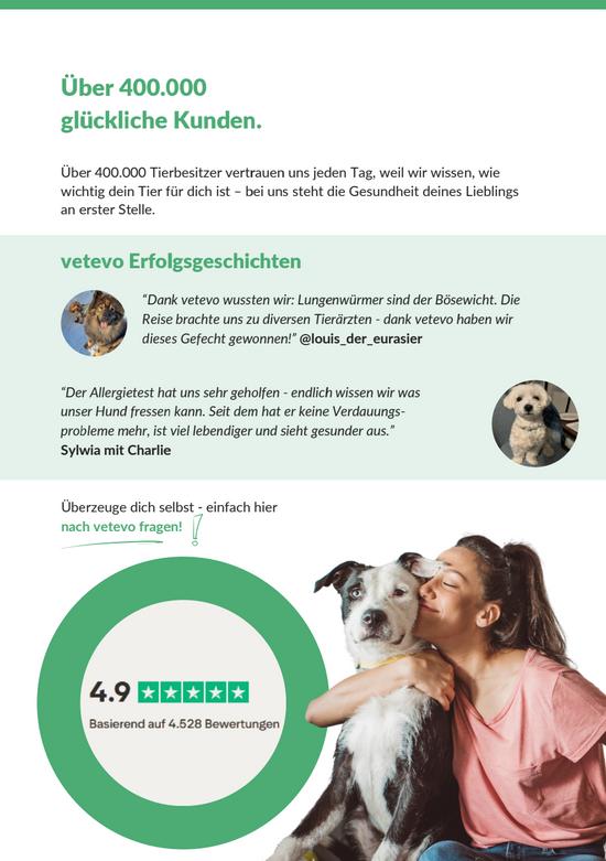 vetevo b2b Flyer (10er Pack)