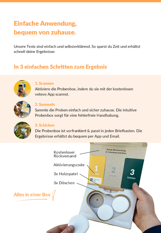 vetevo b2b Flyer (10er Pack)