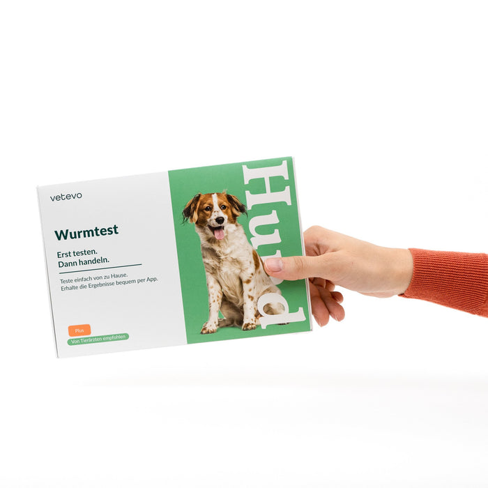 Giardientest Hund