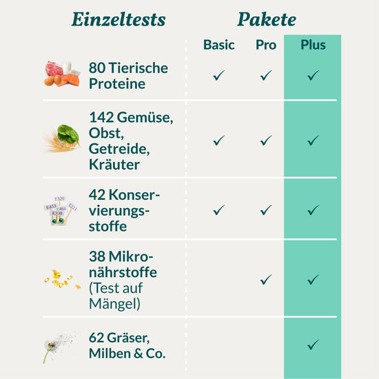 Allergietest Plus Katze
