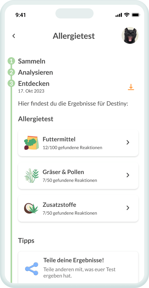Dein Befund – klar & auf den Punkt