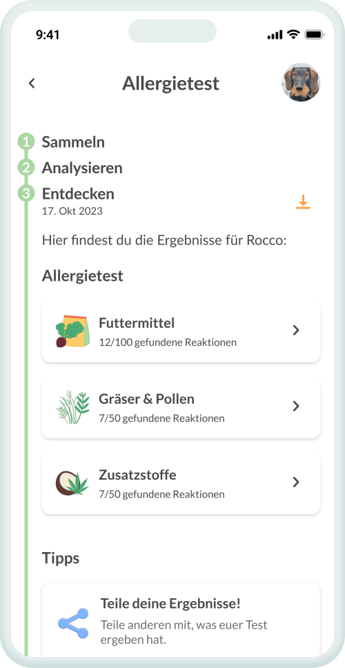 Dein Befund – klar & auf den Punkt