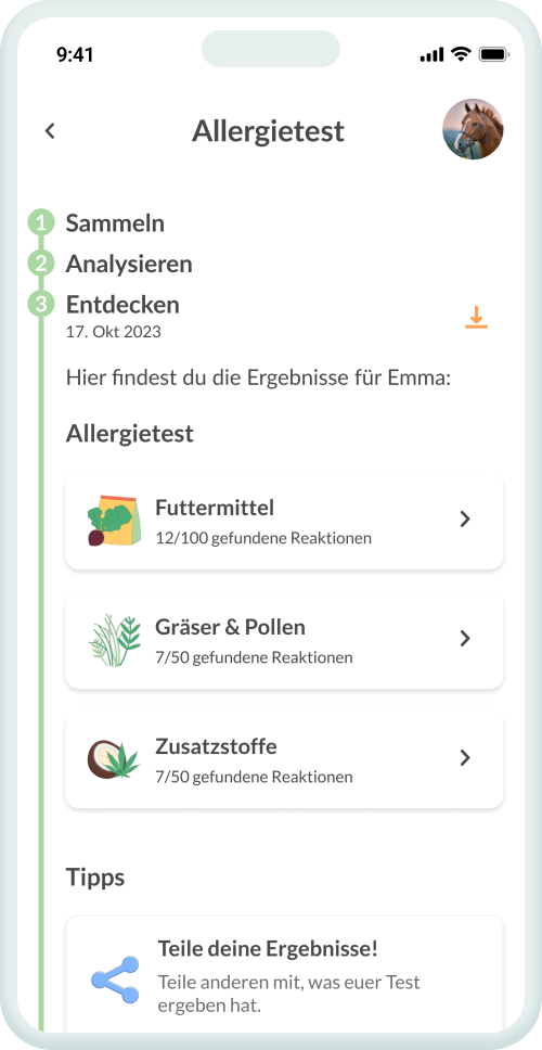Versteh, was deinen Vierbeiner belastet