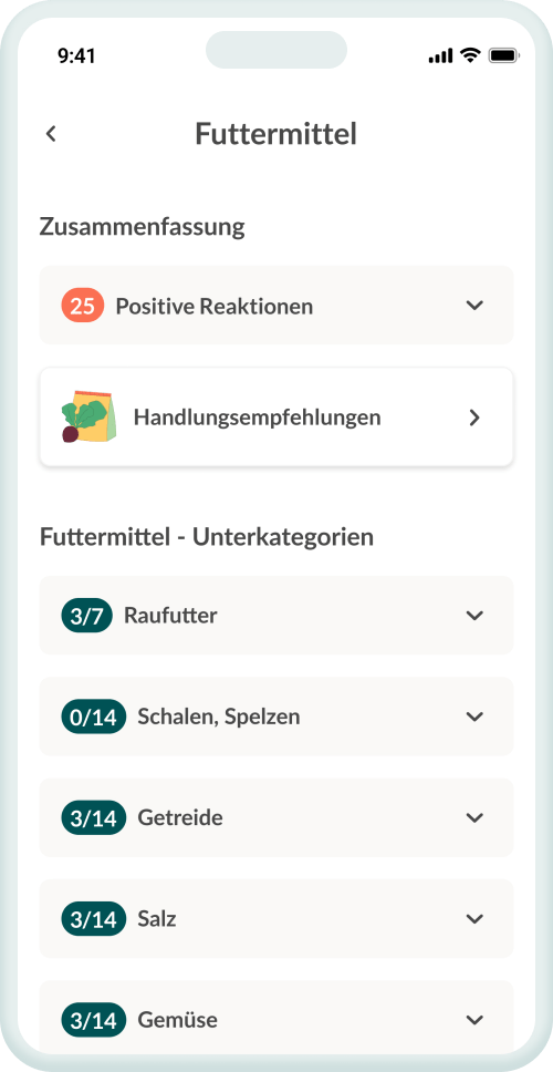 Dein Befund – klar & auf den Punkt