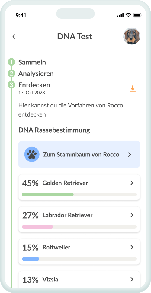Dein Befund – klar & auf den Punkt