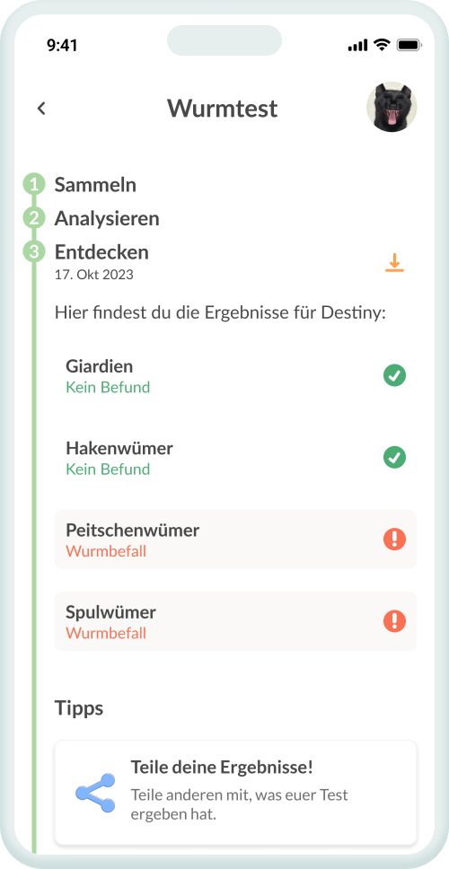 Dein Befund – klar & auf den Punkt