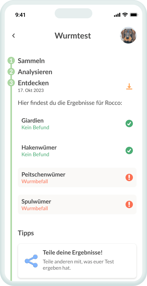 Dein Befund – klar & auf den Punkt