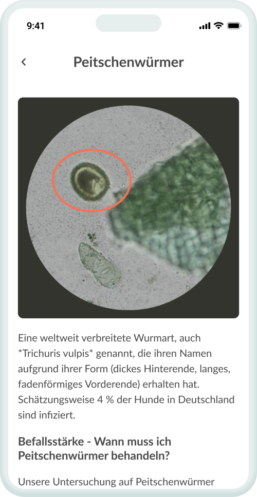 Versteh, was deinen Vierbeiner belastet
