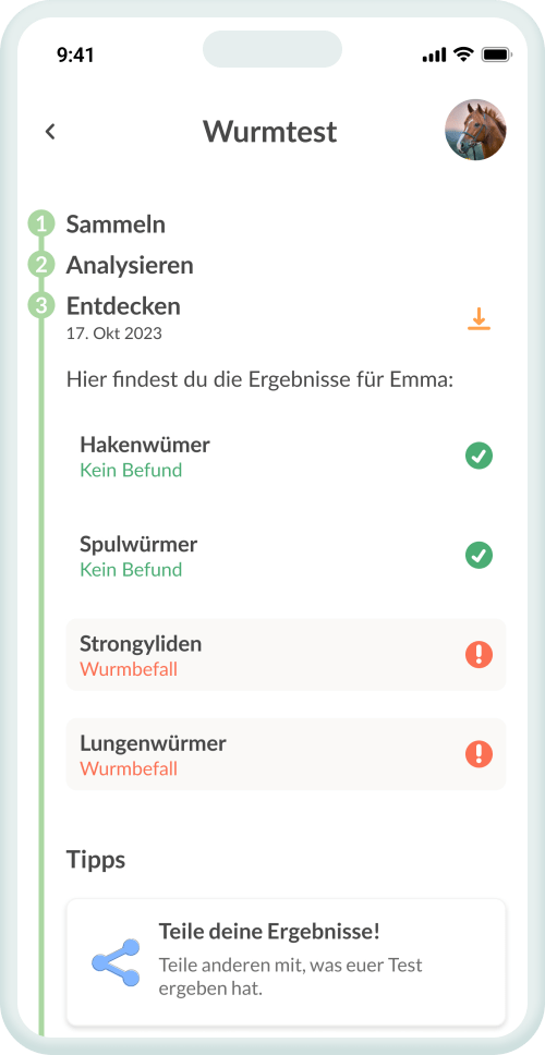 Dein Befund – klar & auf den Punkt