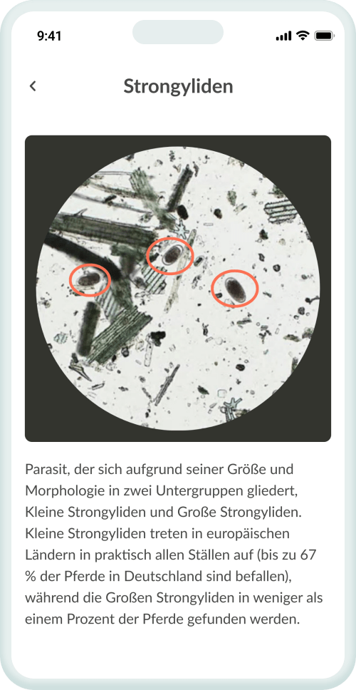 Versteh, was deinen Vierbeiner belastet