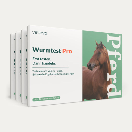 Wurmtest Pro Pferd Jahrespaket