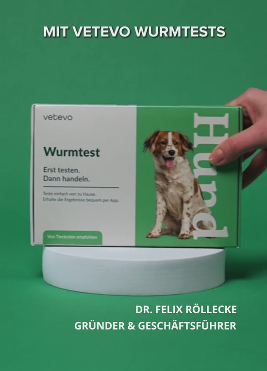 Wurmtest Basic Katze Sparpaket