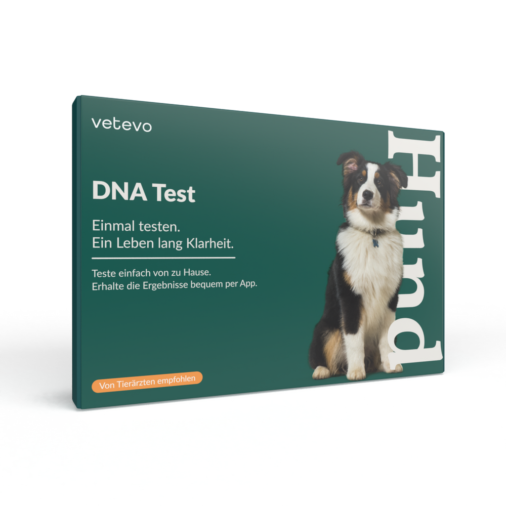 2in1 Analyse: DNA Test Rassebestimmung & Wurmtest Pro Hund