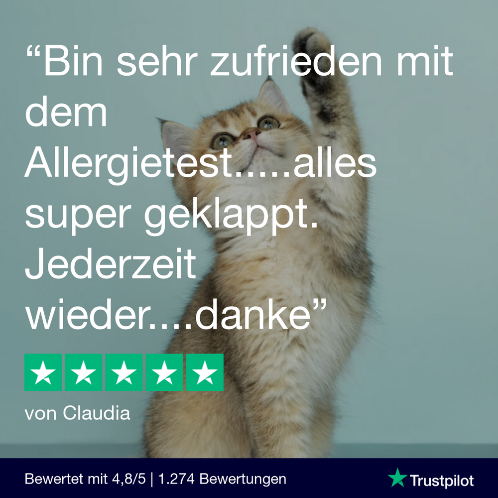 Allergietest Katze
