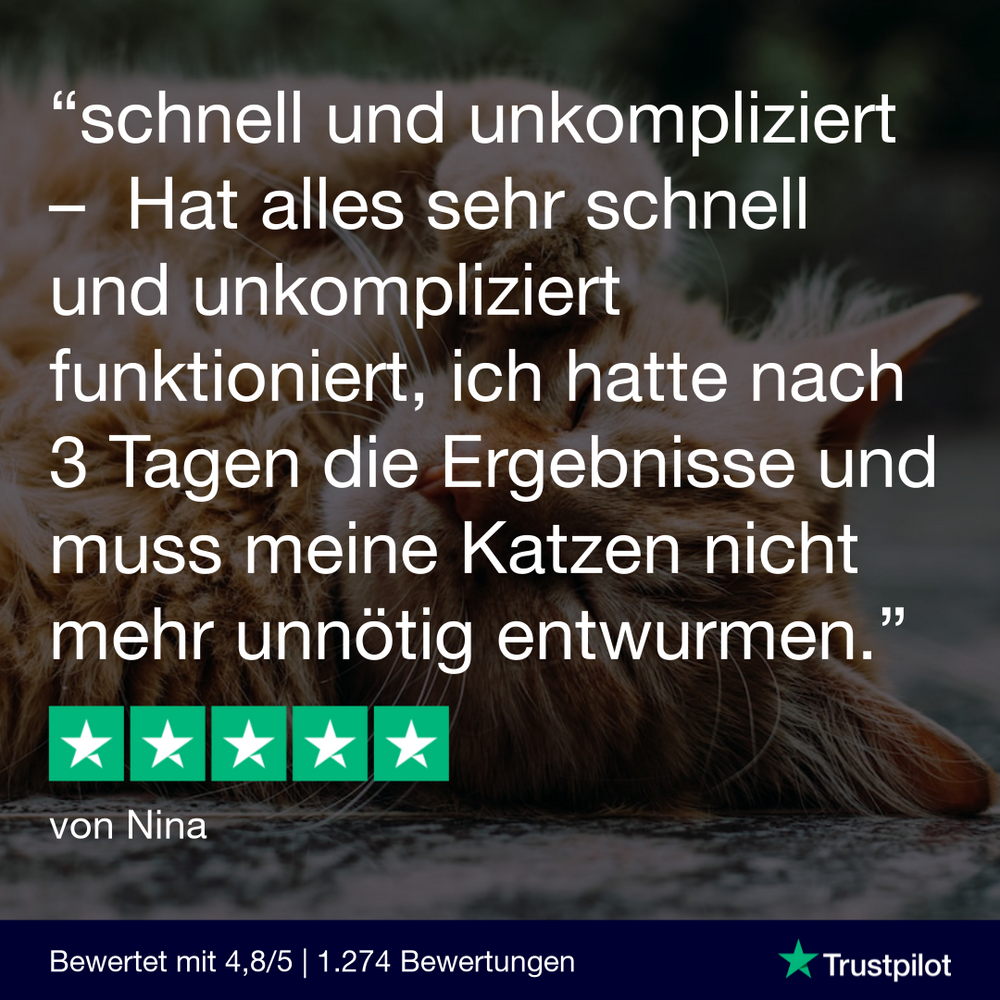Wurmtest Katze (Studie)