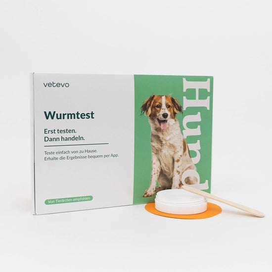 Deine Probenbox kommt bei dir an