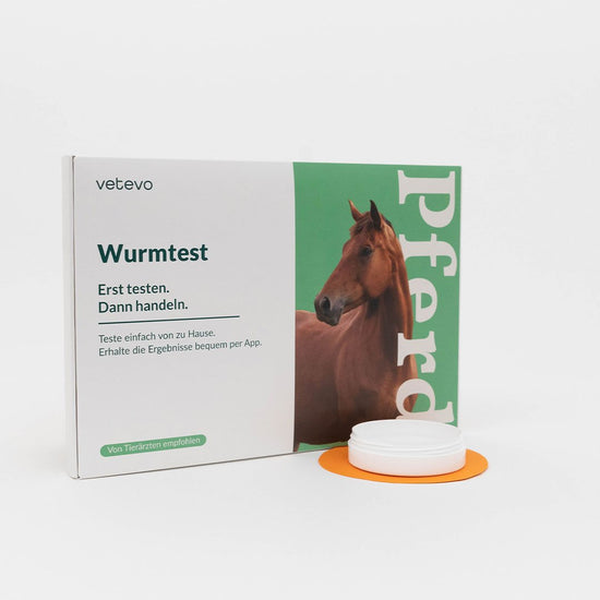 Deine Probenbox kommt bei dir an